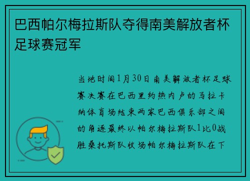 巴西帕尔梅拉斯队夺得南美解放者杯足球赛冠军